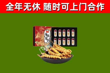 新吴回收冬虫夏草价格