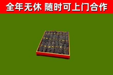 新吴回收海参